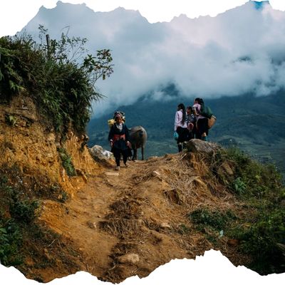 https://safaroto.com/wp-content/uploads/sites/13/2024/12/Vietnam-2025-5-Hiking.jpg